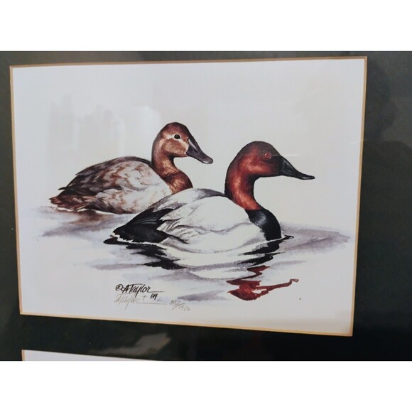 Alice Taylor Duck Prints, Signed, Numbered & Framed 1984, 4 Reflections Mallards - Picture 3 of 10